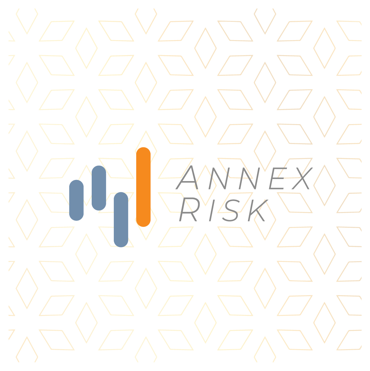 Annex Risk Logo